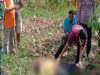 Panen Jagung Di Sawah Lelaki Asal Lamongan Tewas