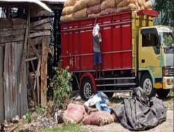 Belum Kantongi Izin Lengkap Produksi !!! Pabrik Penggilingan Bulu Ayam Di Sumberjo