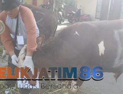 Polres Lamongan Lakukan Pemeriksaan Kesehatan Hewan Kurban
