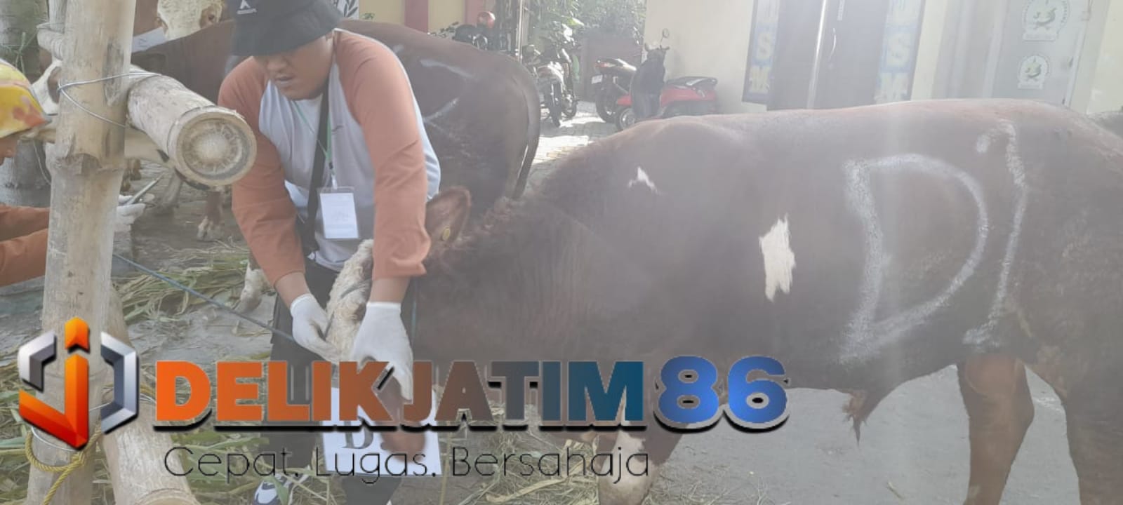 Img 20240617 Wa0146