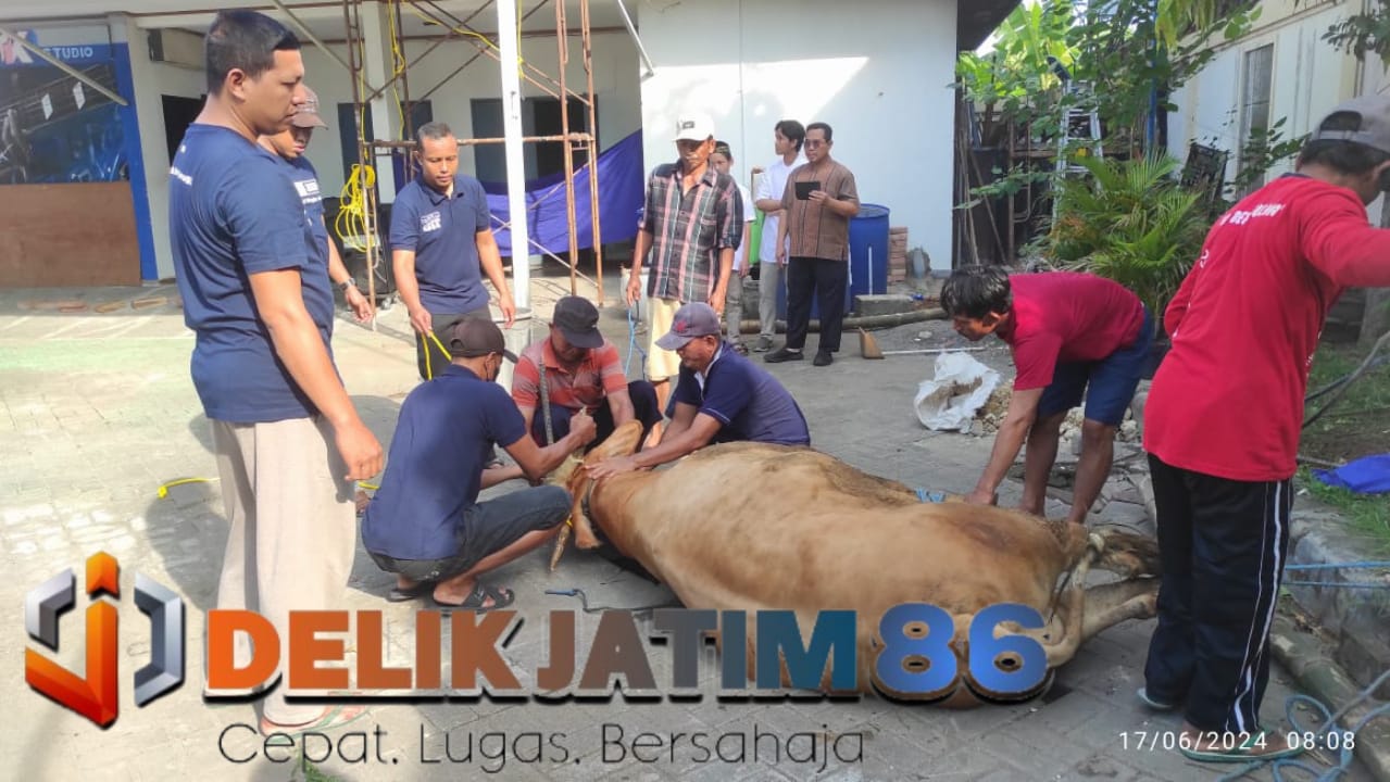 Img 20240618 Wa0109