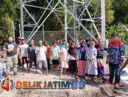 Pemerintah Tuban Seperti Macan Ompong Dinasnya Tidak Punya Taring Ada Dugaan Tower Berdiri Tanpa Mengantongi Ijin