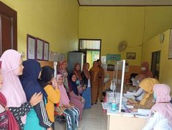 Peringati Harganas KE-31 Tahun, DINKES Tuban Lakukan Pelayanan KB Serentak Sejuta AKSEPTORT
