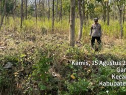 Anggota Polsek Laren Lakukan Patroli Antisipasi Kebakaran Hutan