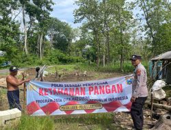 Dukung Program Pekarangan Pangan Bergizi Pemerintah Anggota Polsek Laren Melaksanakan pengolahan lahan