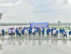 Rapat Koordinasi Luas Tambah Tanam (LTT) dan Kunjungan Kerja Direktur Jenderal Tanaman Pangan di Desa Kebalanpelang, Kecamatan Babat, Lamongan