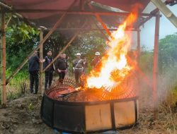 Komitmen Polres Lamongan Dan Subdenpom TNI AD Menindak Area Judi Sabung Ayam Area persawahan Di Desa Jetis Lamongan