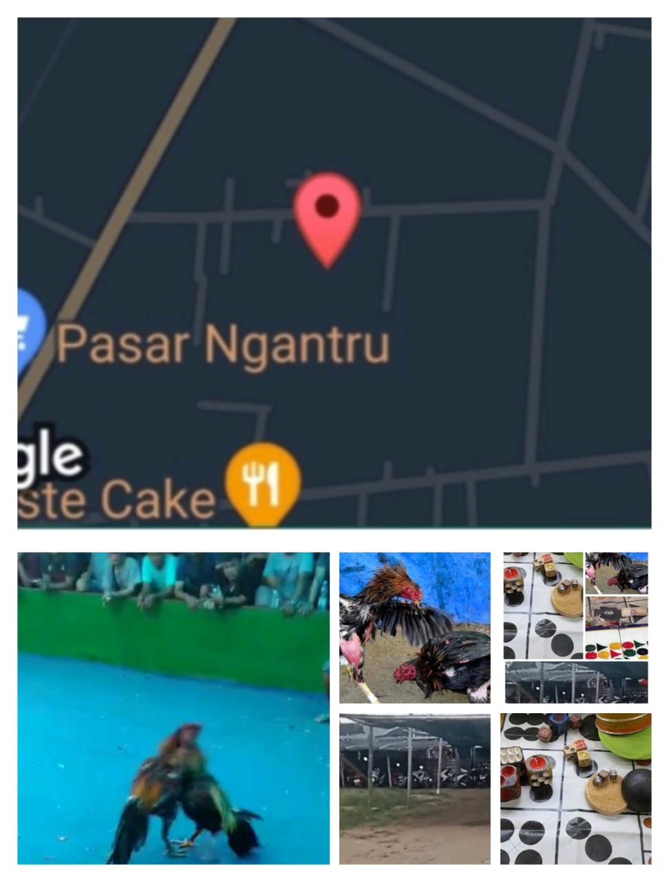 Img 20250219 Wa0024