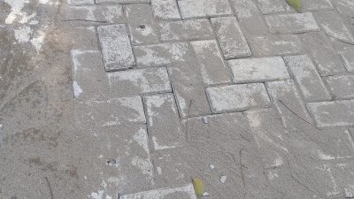 Img 20250612 135331