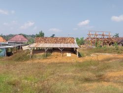 Pengolahan Clay Ilegal di Tanggulangin Tuban Kini Aktivitas Kembali Polda Jatim Wajip Tau !!!