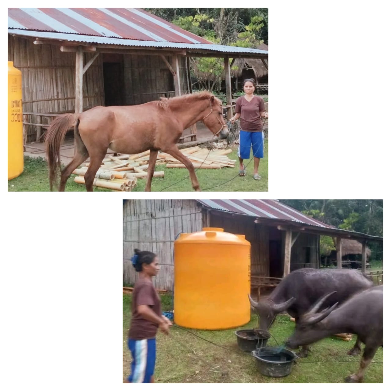 Img 20250728 wa0034