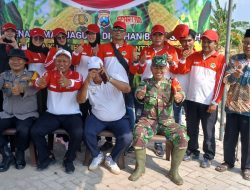 Ketahanan Pangan Berkeadilan: Sukses Desa Kepatihan dengan Program Jagung Unggulan