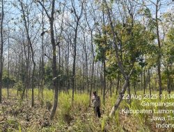 Polsek Laren “Sisir” Hutan, Pastikan Tak Ada Titik Api Karhutla