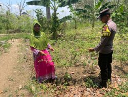 Sukseskan Astacita, Polsek Laren Jadi ‘Sahabat Petani’ di Program P2B