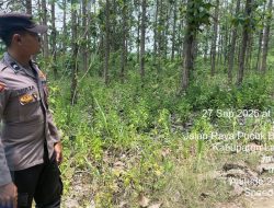 Hutan Lestari, Warga Sejahtera: Polsek Laren Aktif Cegah Karhutla di Lahan Perhutani