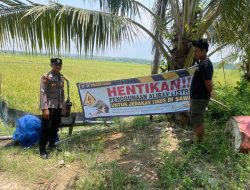 Petani Laren di Himbau Cari Cara Aman Basmi Tikus, Polisi Pasang Banner Peringatan di Sawah