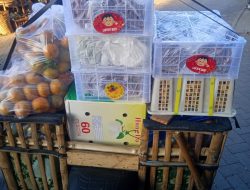 Tentu, ini dia berita tentang Wanto, pedagang buah keliling sukses dari Lamongan