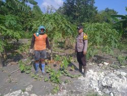 Petani Sungegeneng Tersenyum: Polsek Sekaran Pantau Program Asta Cita Presiden