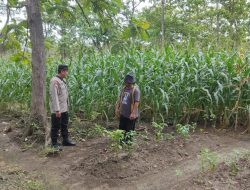 Polsek Laren Aktif Dukung Program Pekarangan Pangan Bergizi (P2B) di Desa Gampangsejati