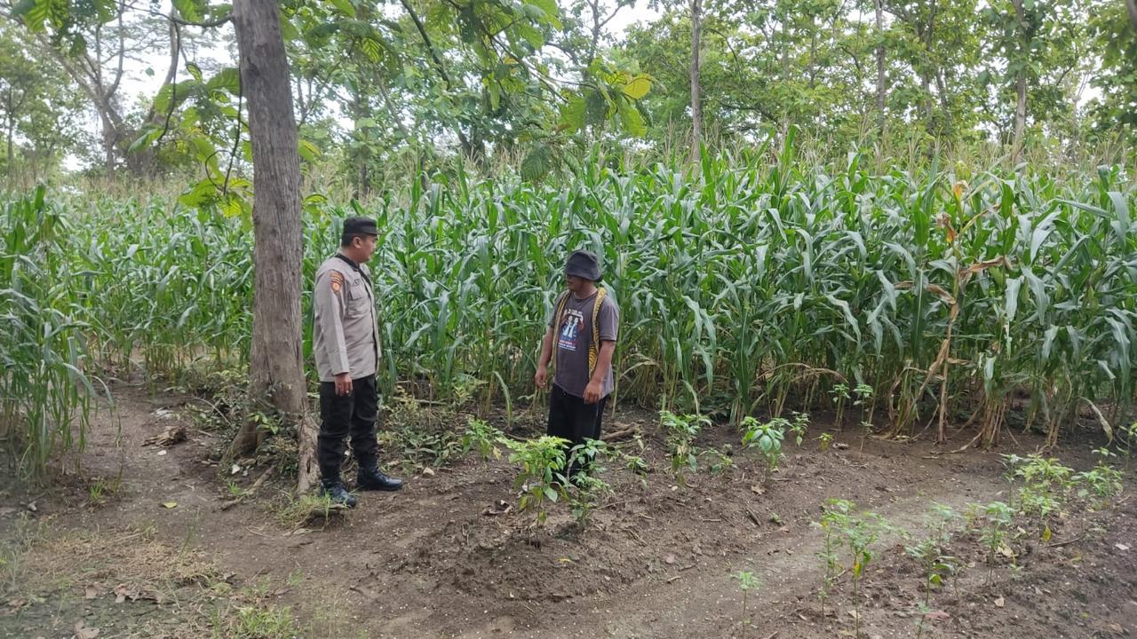 Img 20250930 wa0050