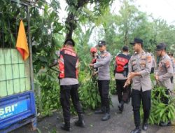Angin Puting Beliung Porak-porandakan Tuban, BPBD dan Aparat Fokus Perbaiki Rumah Warga