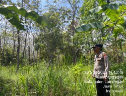 Satgas Karhutla Polsek Laren Aktif Patroli, Jaga Hutan Jati dari Kebakaran