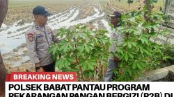 Polsek Babat Pantau Program Pekarangan Pangan Bergizi (P2B) di Desa Kebalanpelang, Dukung Ketahanan Pangan