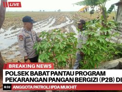 Polsek Babat Pantau Program Pekarangan Pangan Bergizi (P2B) di Desa Kebalanpelang, Dukung Ketahanan Pangan