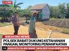 Polsek Babat Dukung Ketahanan Pangan, Monitoring Pemanfaatan Pekarangan Bergizi di Desa Gendong Kulon