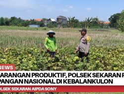 Lahan Pekarangan Produktif, Polsek Sekaran Pantau Program Pangan Nasional di Kebalankulon