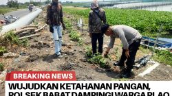Brnews 05102025055528