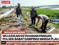 Wujudkan Ketahanan Pangan, Polsek Babat Dampingi Warga Plaosan Manfaatkan Pekarangan