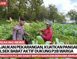 “Hijaukan Pekarangan, Kuatkan Pangan”: Polsek Babat Aktif Dukung P2B Warga
