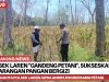 Polsek Laren “Gandeng Petani”, Sukseskan Desa Pekarangan Pangan Bergizi