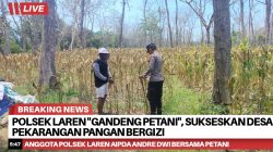 Brnews 06102025054727