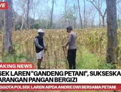 Polsek Laren “Gandeng Petani”, Sukseskan Desa Pekarangan Pangan Bergizi