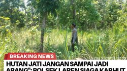 Brnews 06102025062605