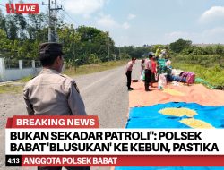 Bukan Sekadar Patroli: Polsek Babat ‘Blusukan’ ke Kebun, Pastikan Pangan Tercukupi!