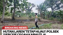 Brnews 07102025061632