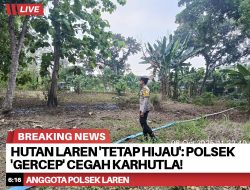 Hutan Laren ‘Tetap Hijau’: Polsek ‘Gercep’ Cegah Karhutla!