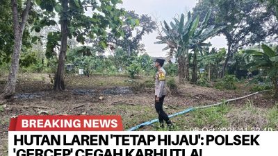 Brnews 07102025061632