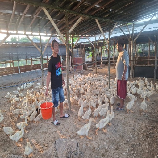 Img 20251108 wa0069 copy 512x512