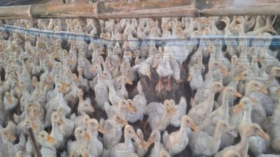 Img 20251108 wa0084 copy 512x512