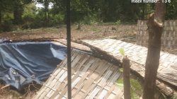 F9176674 3334 4dad bf31 1b648967dcfc